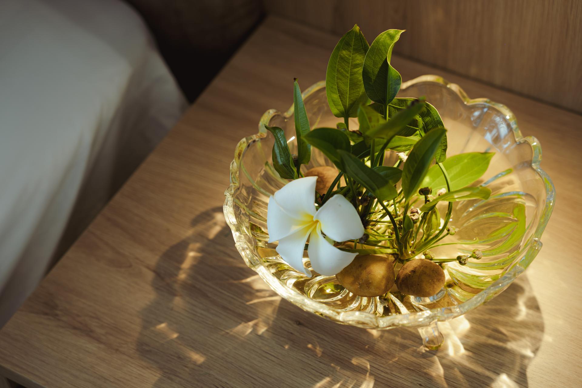 CÔNG TY TNHH THƯƠNG MẠI & DU LỊCH TRÚC GIANG - CHI NHÁNH BẾN TRE